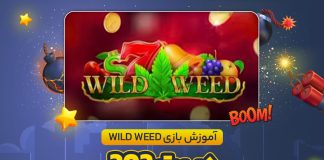 آموزش بازی Wild Weed در بت 303